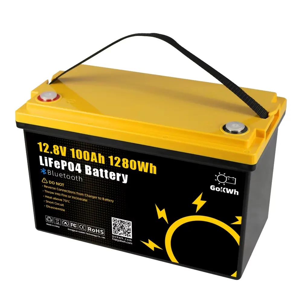 Bateria LiFePo4 100 12V GoKWh 