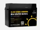 Bateria LiFePo4 320Ah 12V GoKWh